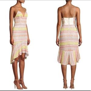 NEW Alice + Olivia Amina Embroidered Dress
